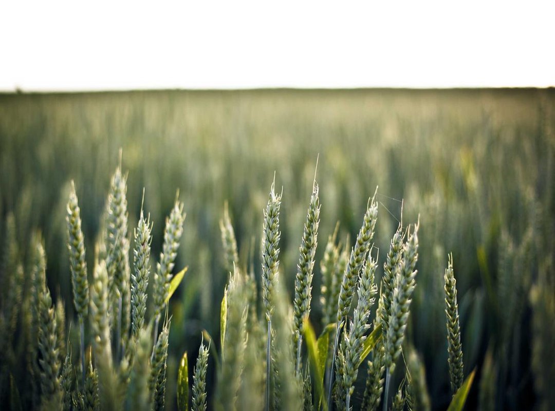 Your Action Plan: 5 Steps to Secure Your Digital Life