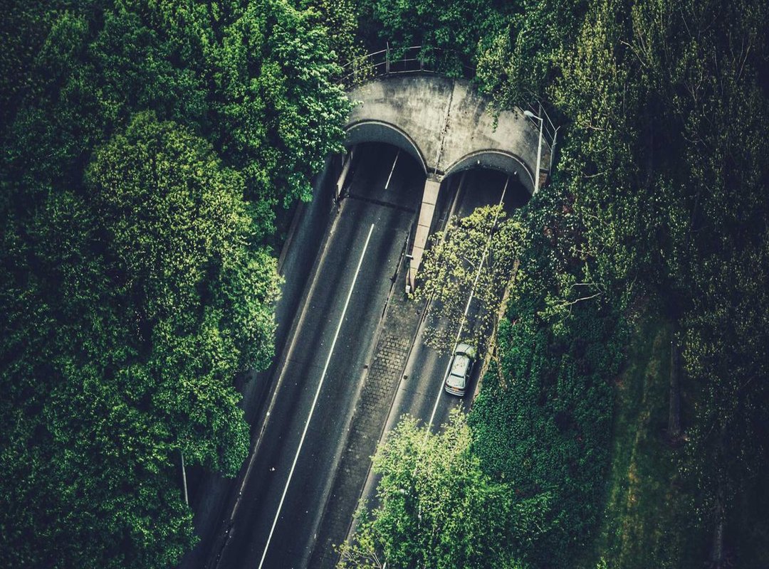 Staying Safe: How to Avoid Malware and Account Bans