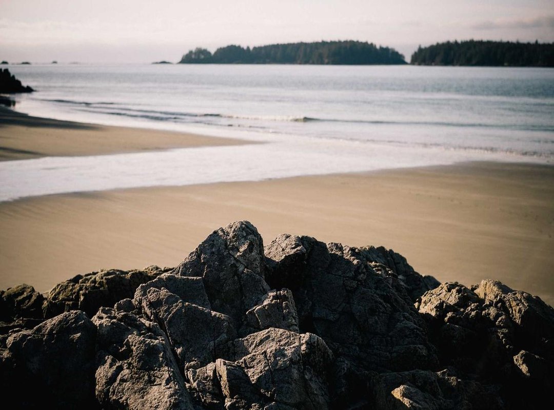 Frequently Asked Questions (FAQs)