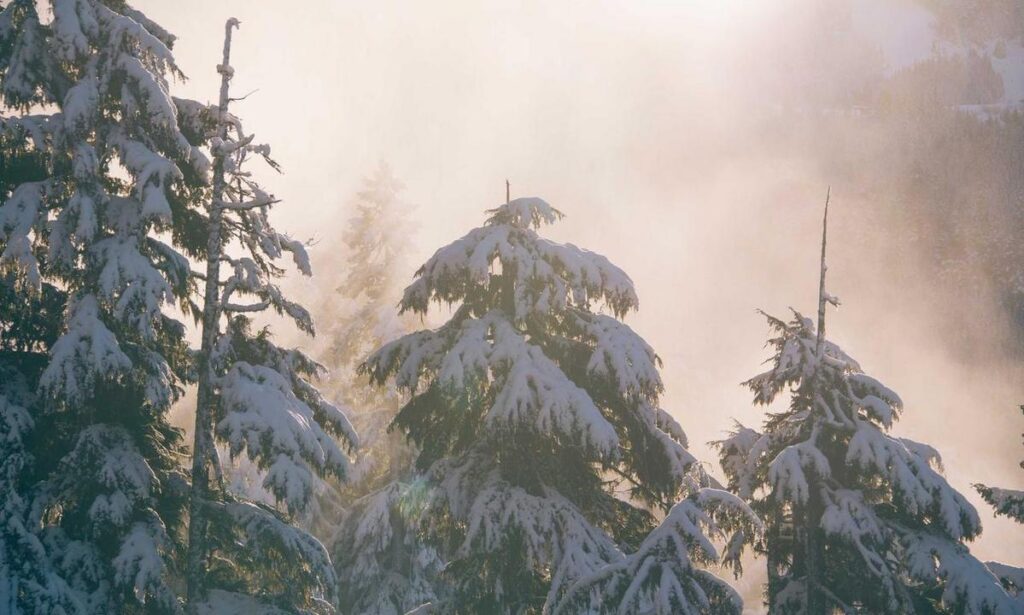 why is gaming good for you pmwgamestation